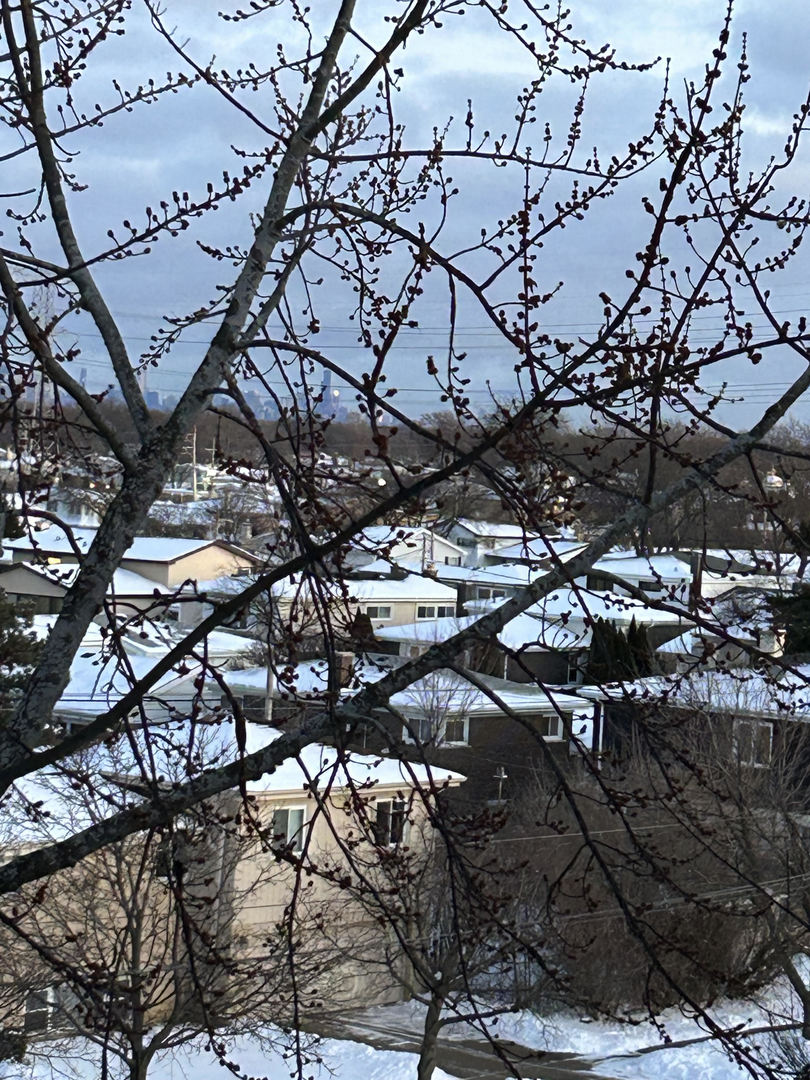 9500 N Washington St #505 Niles, IL 60714