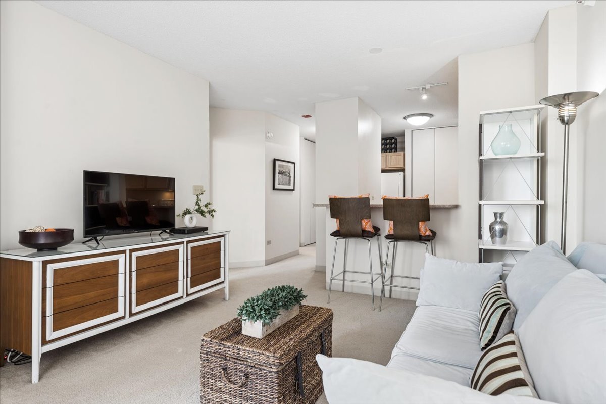 222 N Columbus Dr #508 Chicago, IL 60601