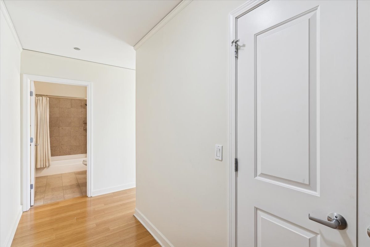 225 N Columbus Dr #5513 Chicago, IL 60601