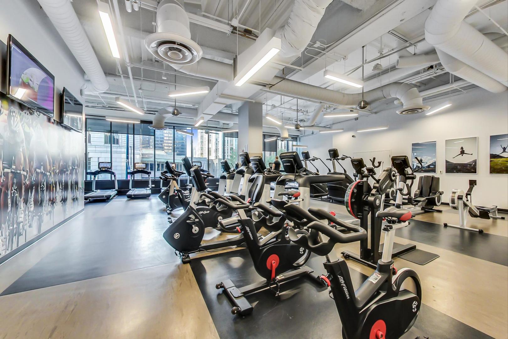 225 N Columbus Dr #5513 Chicago, IL 60601