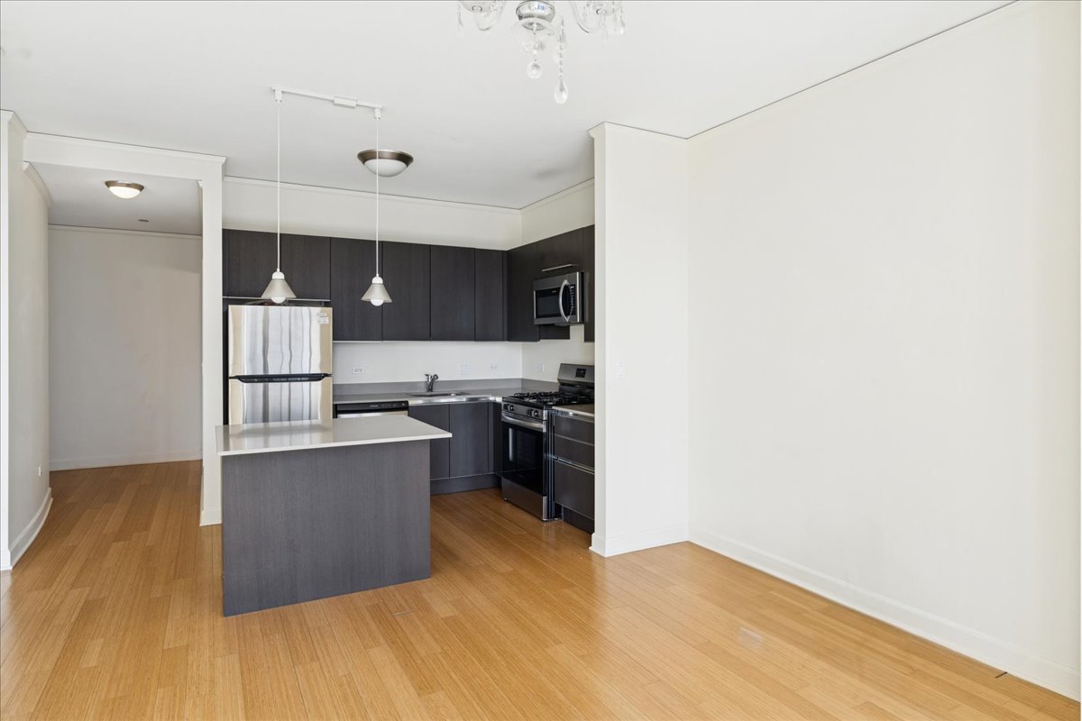 225 N Columbus Dr #5513 Chicago, IL 60601