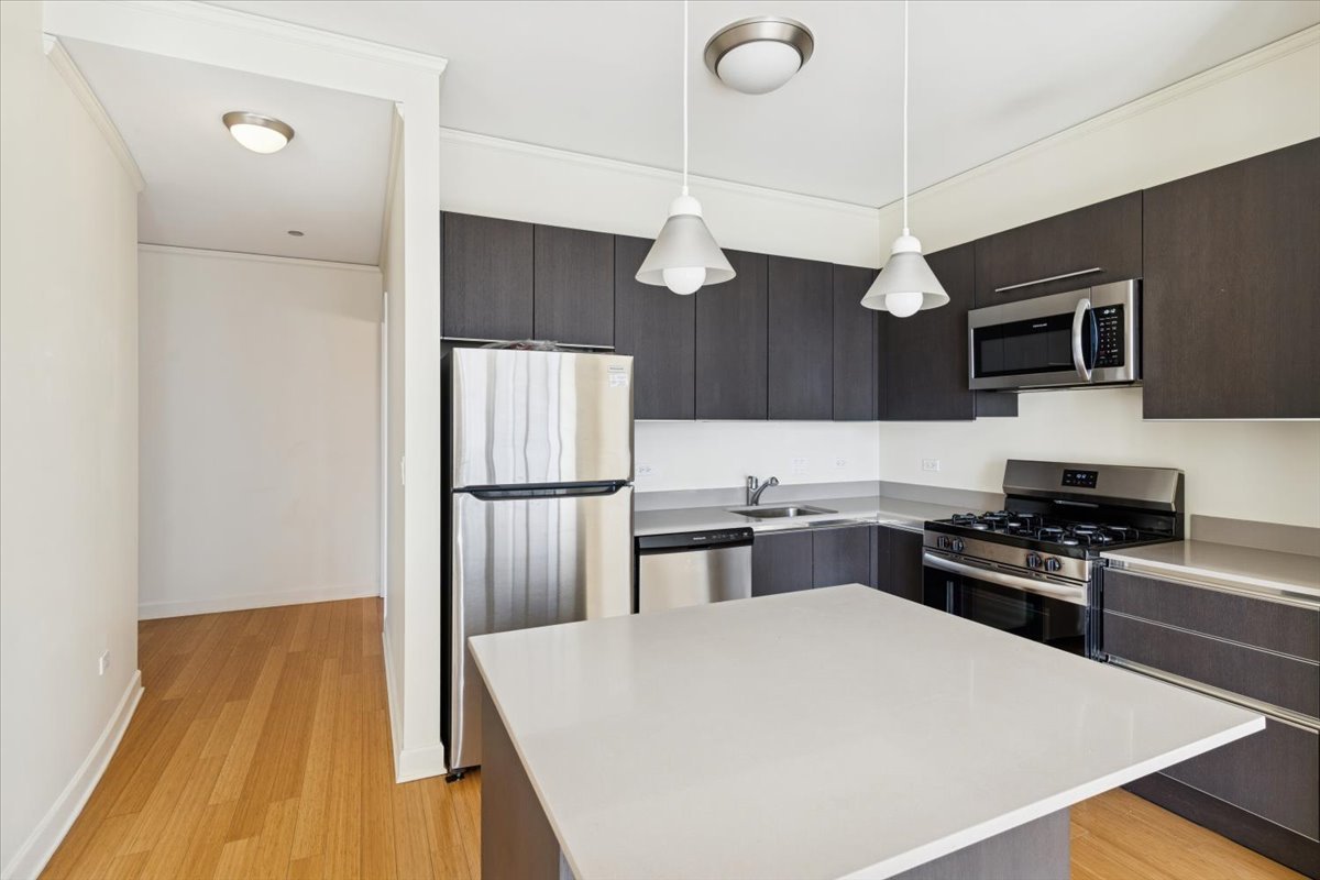 225 N Columbus Dr #5513 Chicago, IL 60601