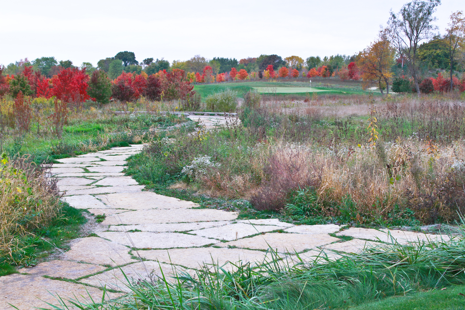 0000 Brookdale Rd Woodstock, IL 60098