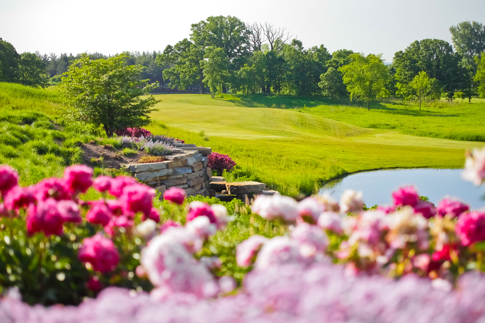 0000 Brookdale Rd Woodstock, IL 60098