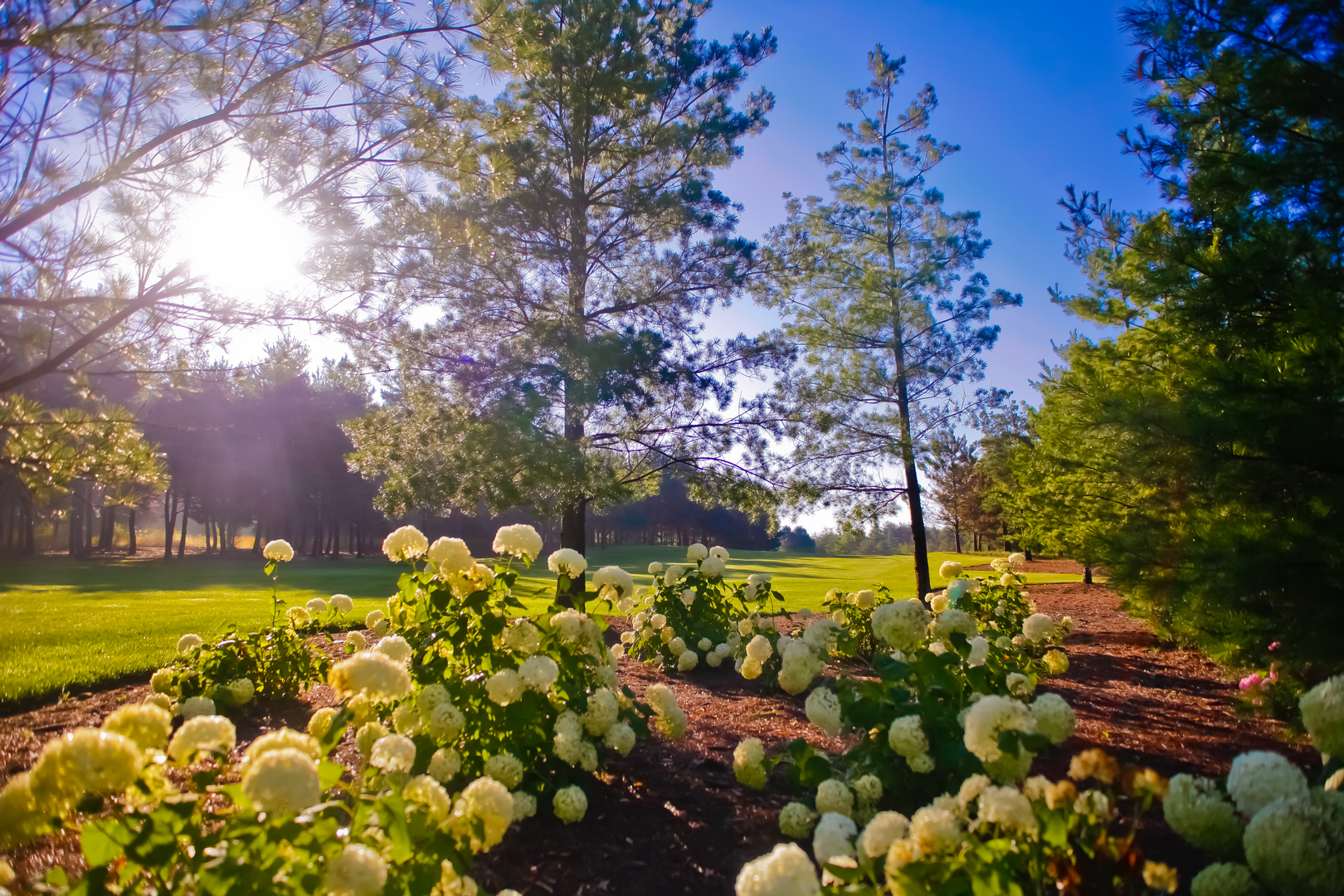 0000 Brookdale Rd Woodstock, IL 60098