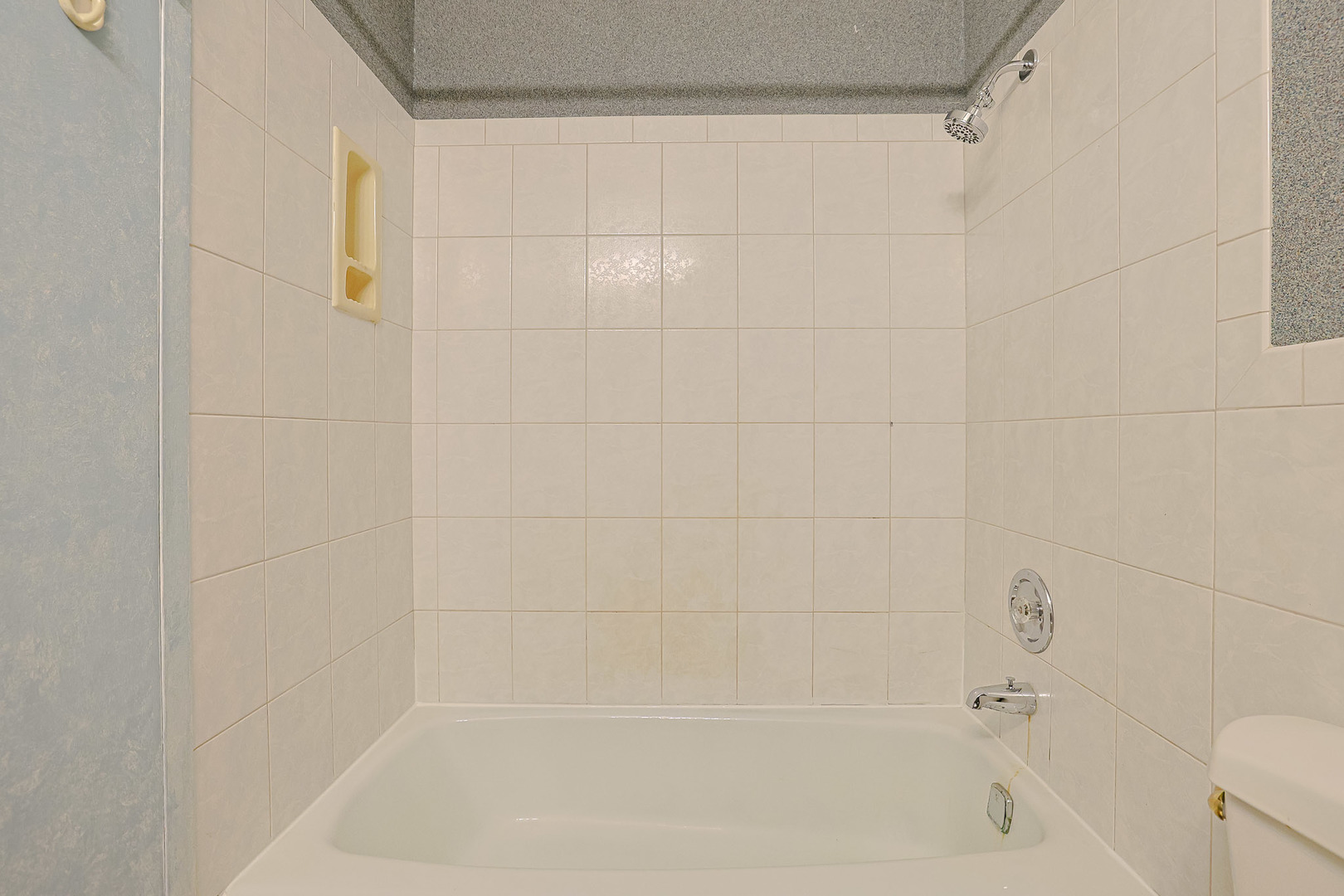 8815 W Golf Rd #6I Niles, IL 60714