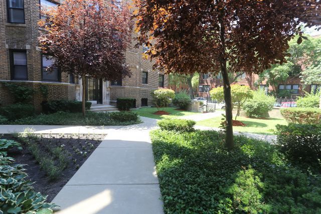 639 W Cornelia Ave #2N