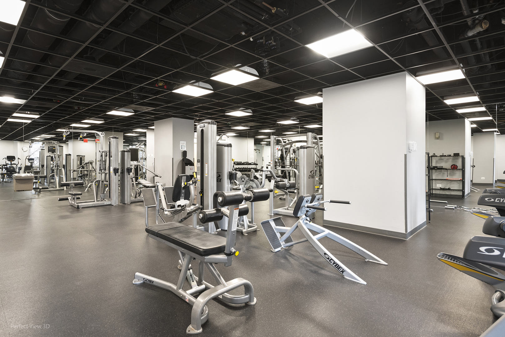 222 N Columbus Dr #1702 Chicago, IL 60601