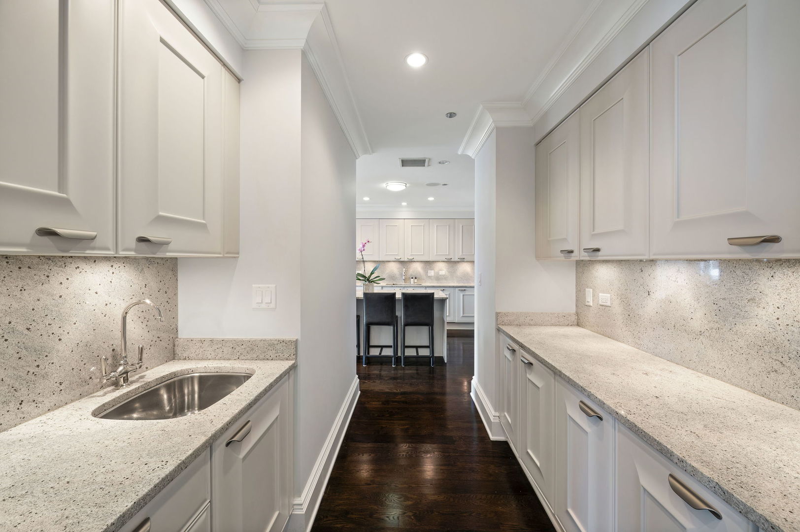 2550 N Lakeview Ave #S201 Chicago, IL 60614