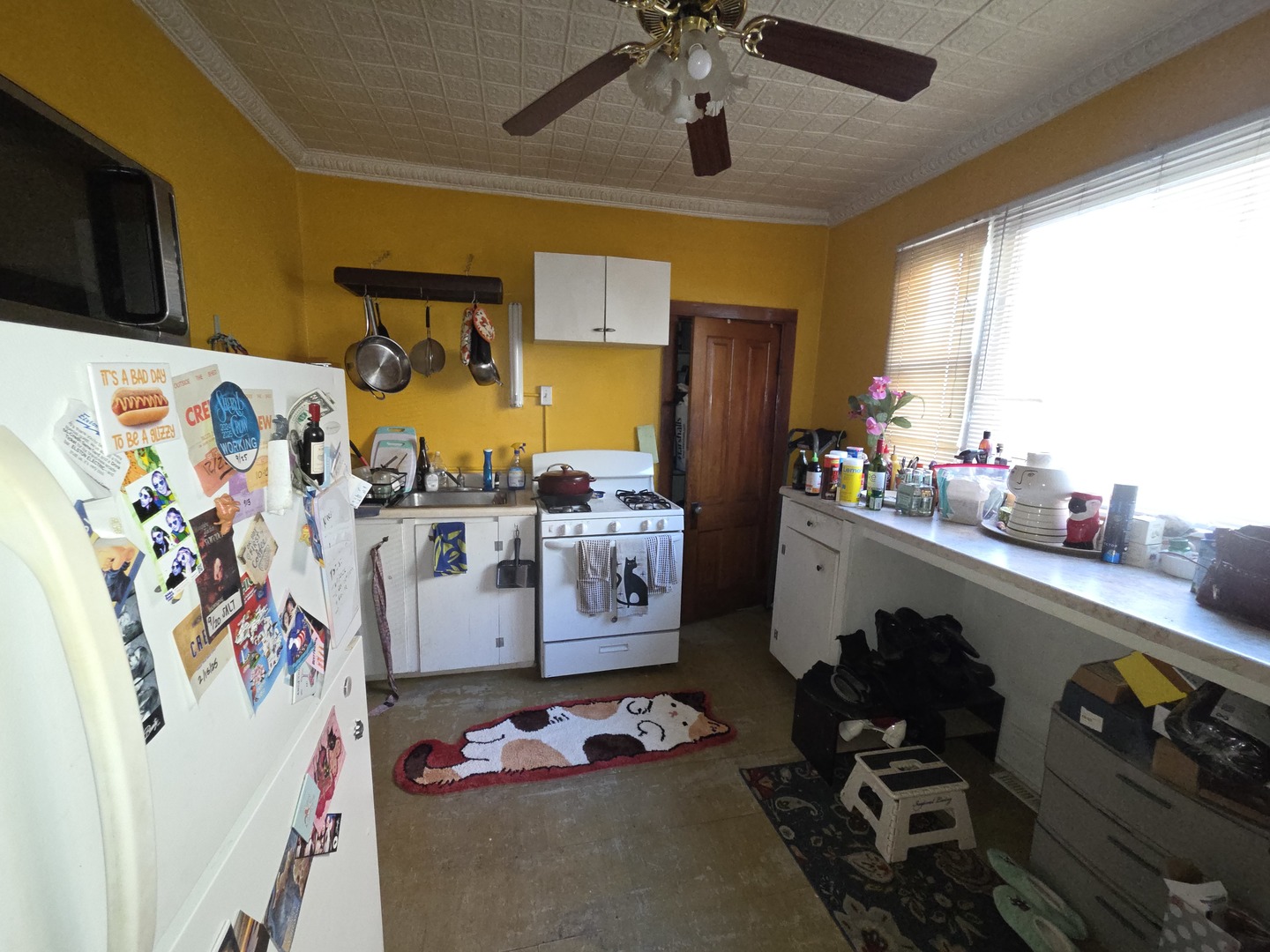 2310 N Hoyne Ave Chicago, IL 60647