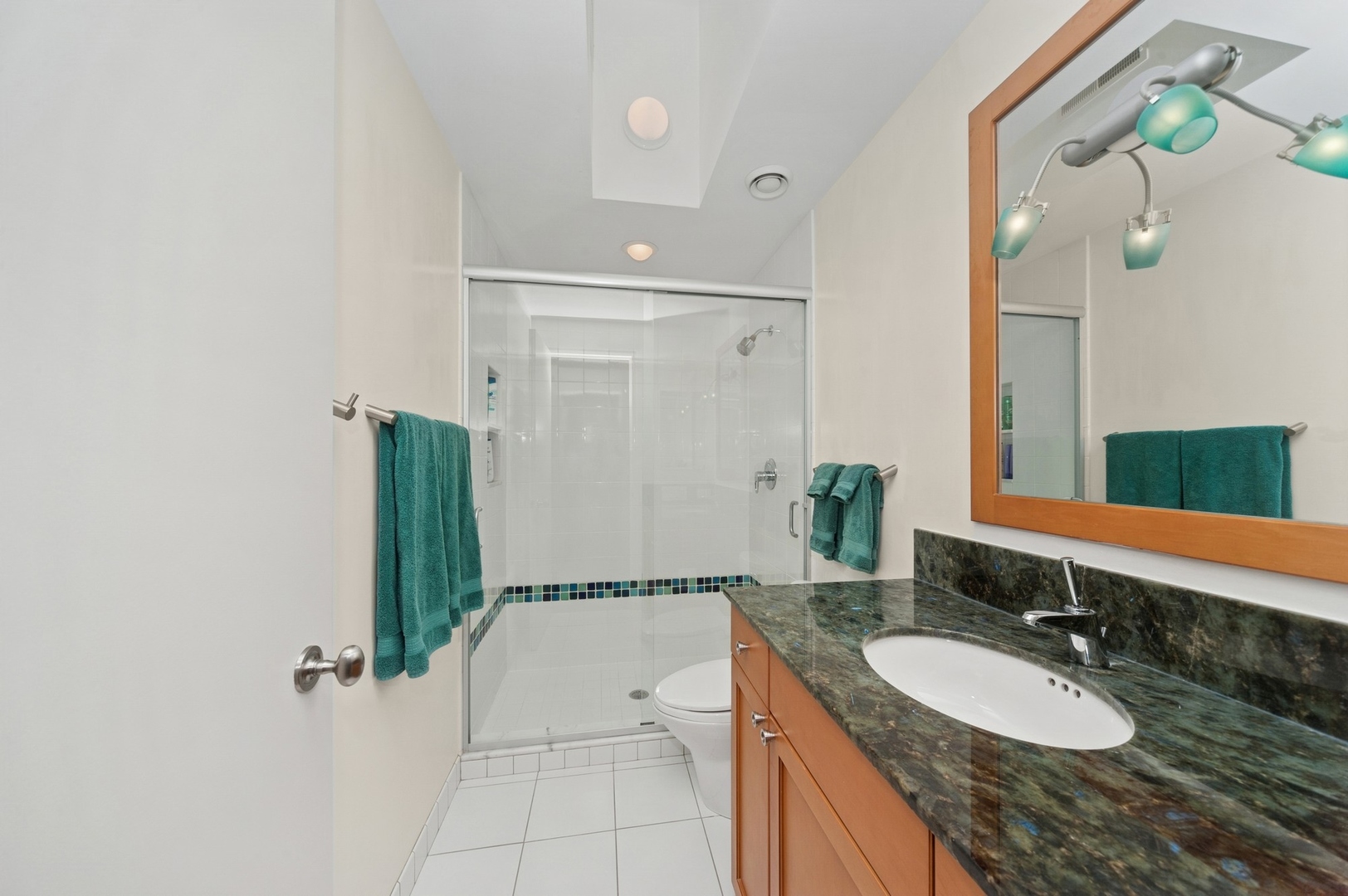 282 Linden Park Pl Highland Park, IL 60035