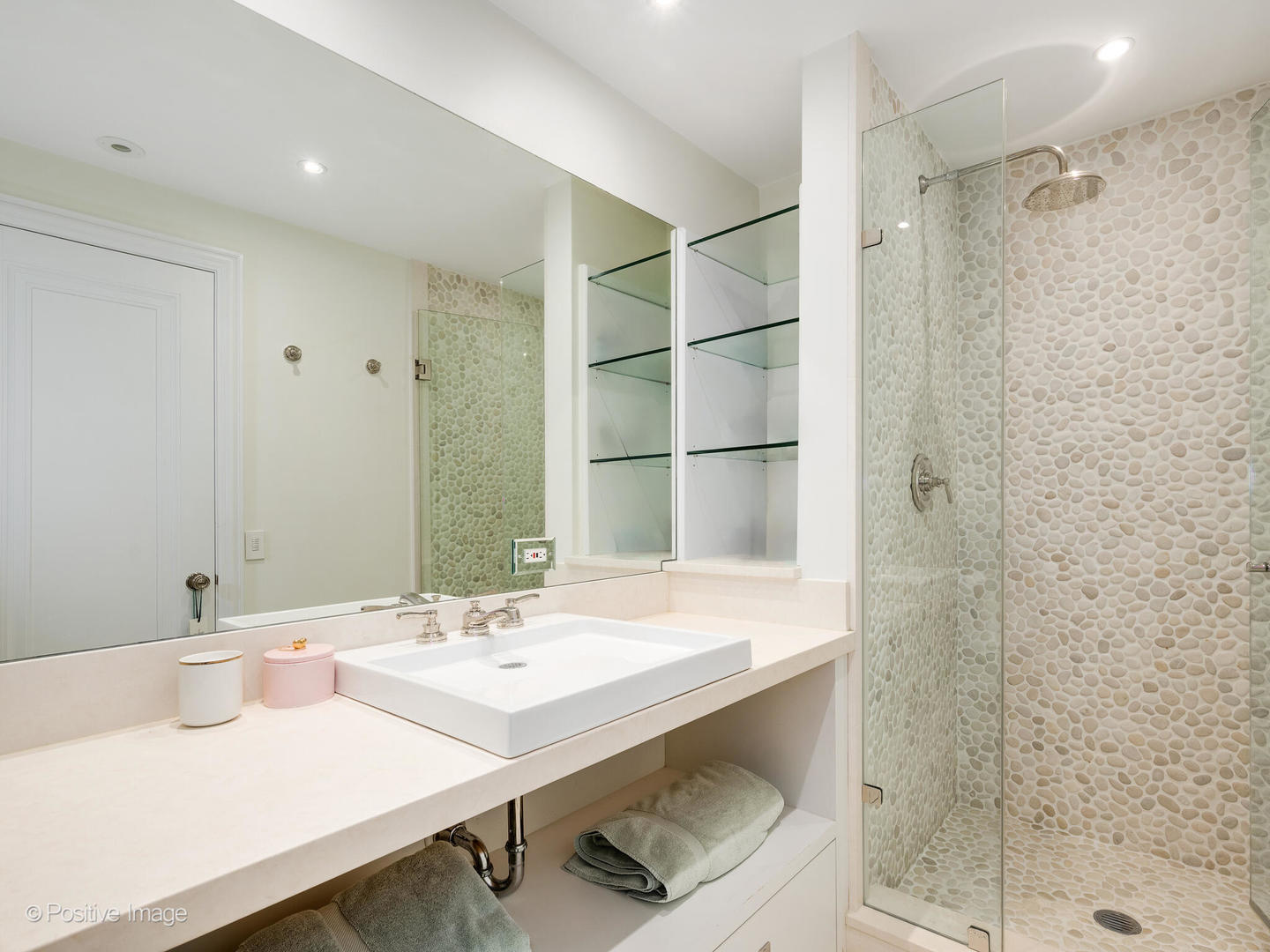 3920 N Lk Shr Dr #12N Chicago, IL 60613