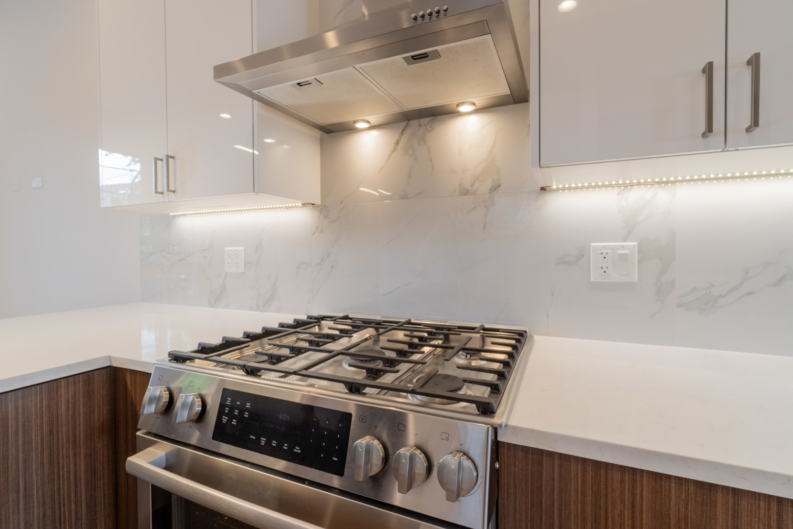 1920 S Shelby Ct Chicago, IL 60608