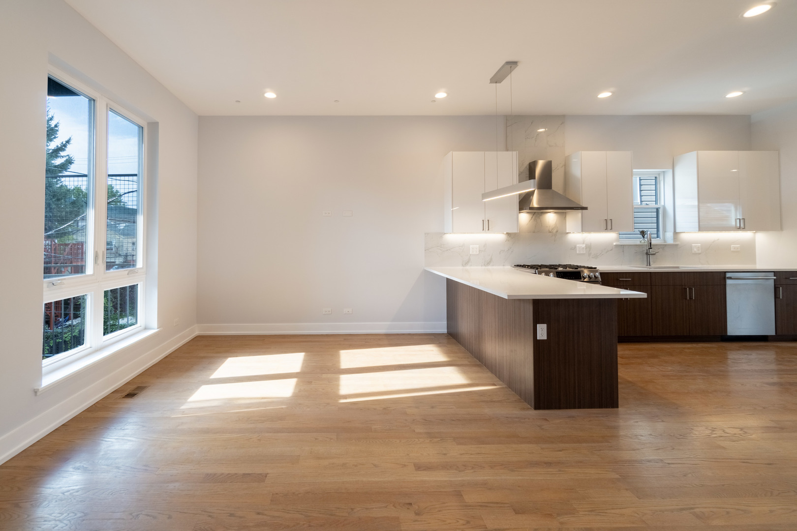 1920 S Shelby Ct Chicago, IL 60608