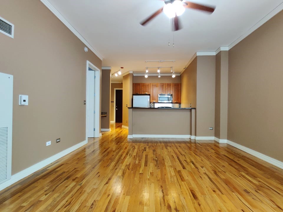 170 W Polk St #807 Chicago, IL 60605