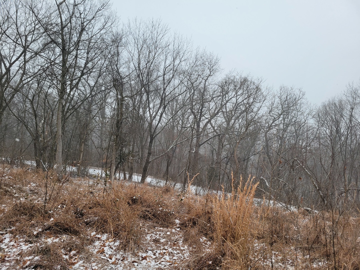 350 Baker St Anna, IL 62906