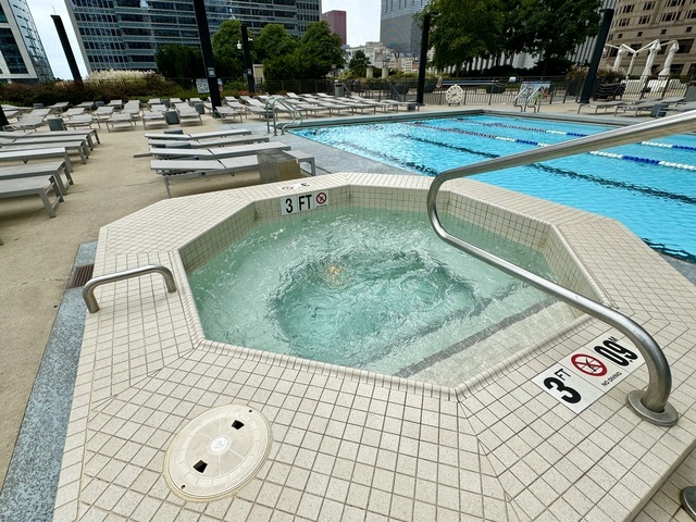 225 N Columbus Dr #6903 Chicago, IL 60601