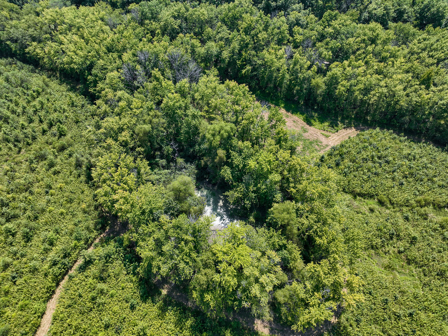 0000 Mayflower Rd Clay City, IL 62824