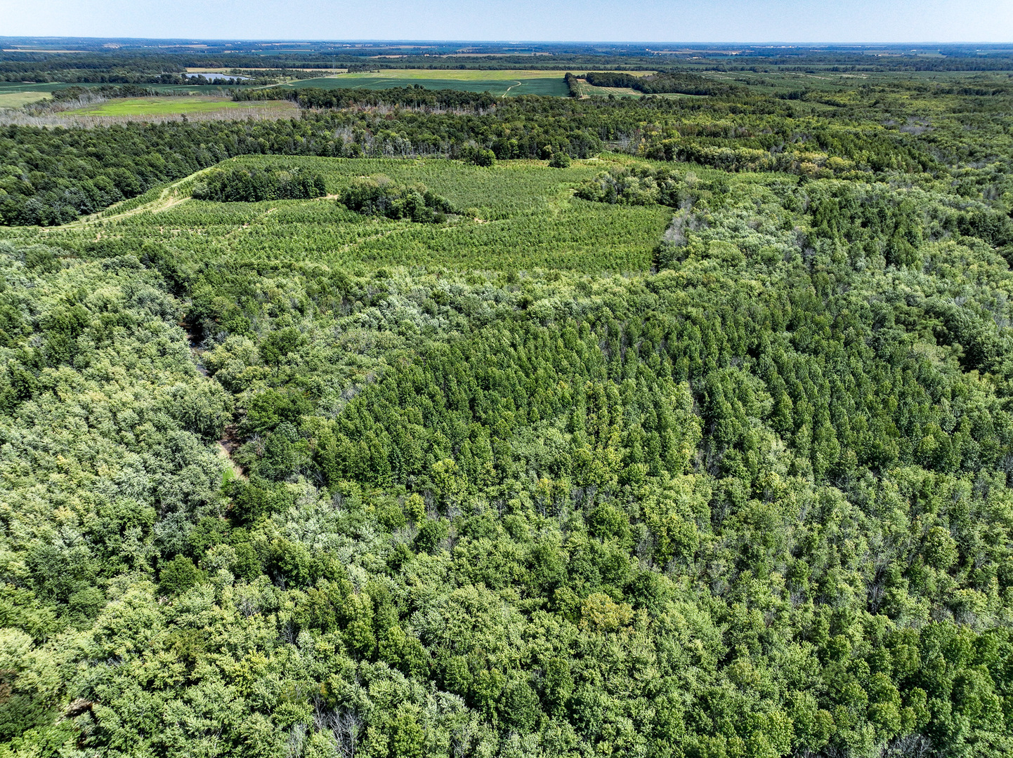 0000 Mayflower Rd Clay City, IL 62824