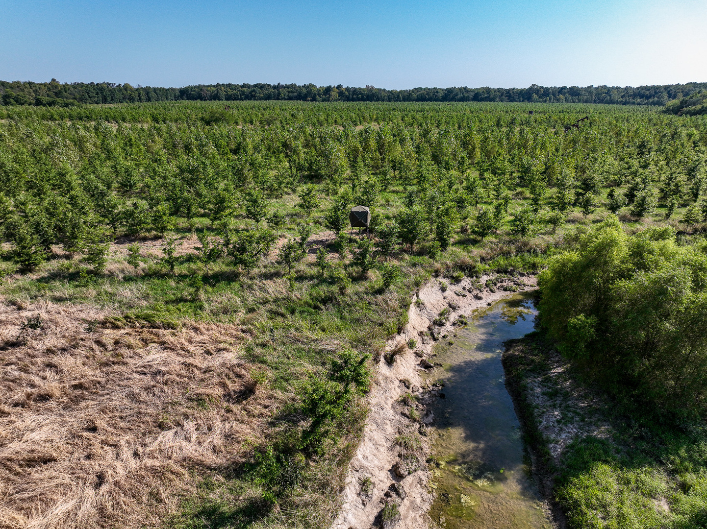 0000 Mayflower Rd Clay City, IL 62824