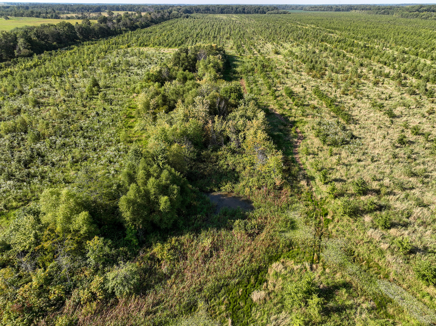 0000 Mayflower Rd Clay City, IL 62824