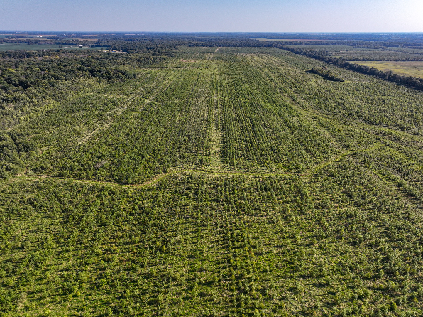 0000 Mayflower Rd Clay City, IL 62824