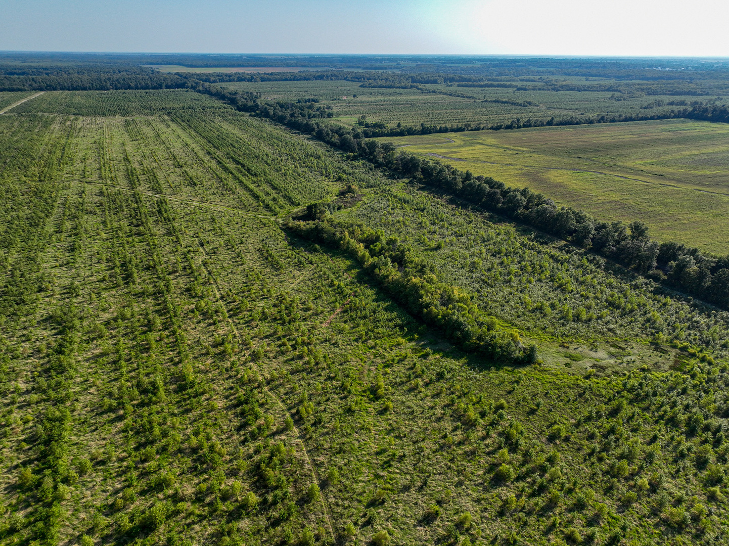 0000 Mayflower Rd Clay City, IL 62824