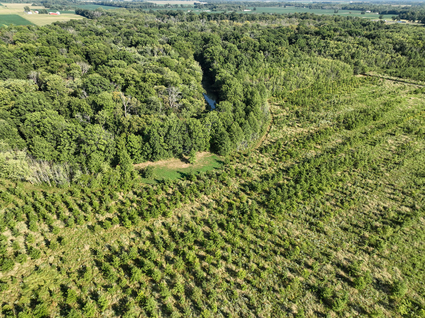 0000 Mayflower Rd Clay City, IL 62824