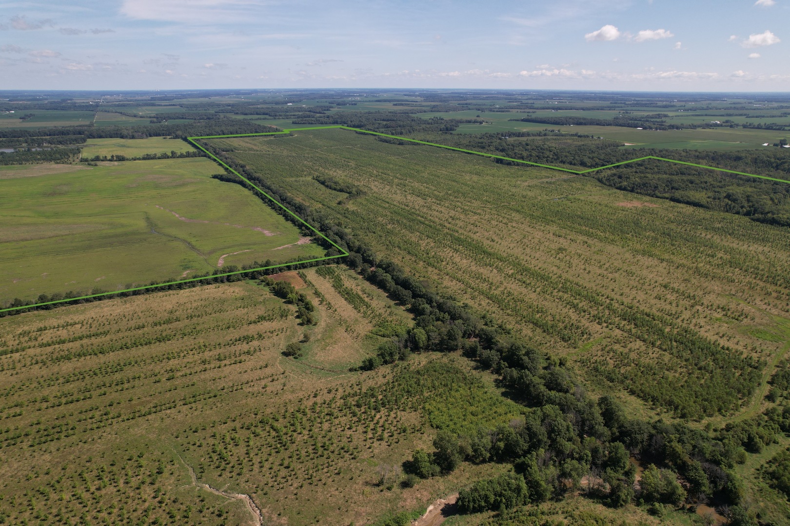 0000 Mayflower Rd Clay City, IL 62824