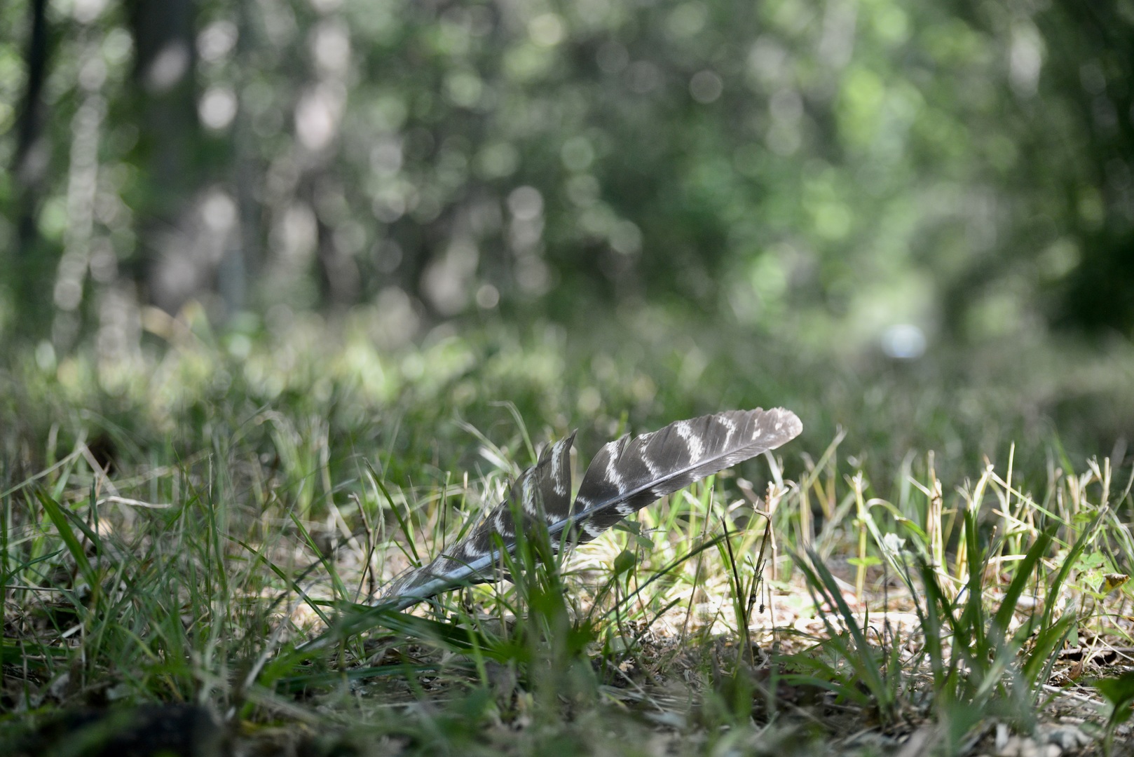 0000 Mayflower Rd Clay City, IL 62824