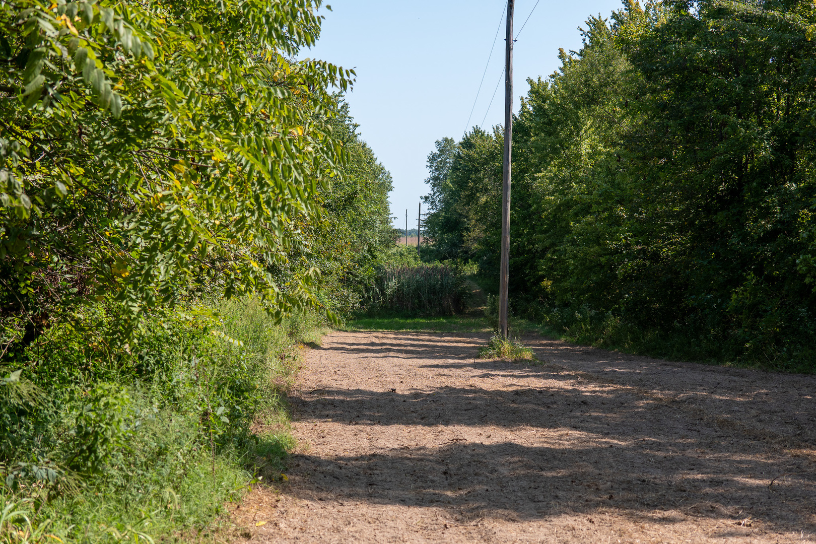 0000 Mayflower Rd Clay City, IL 62824