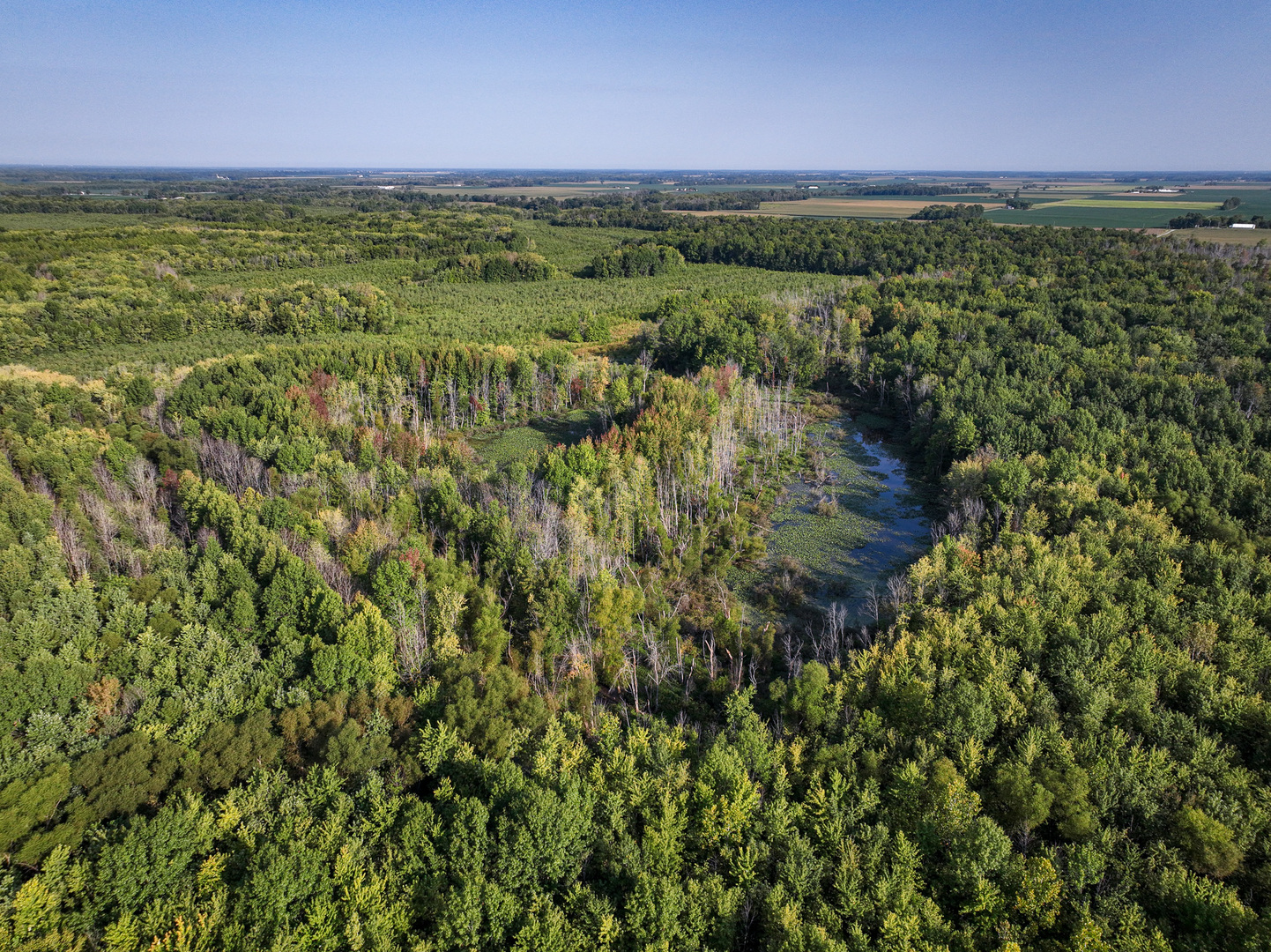 0000 Mayflower Rd Clay City, IL 62824