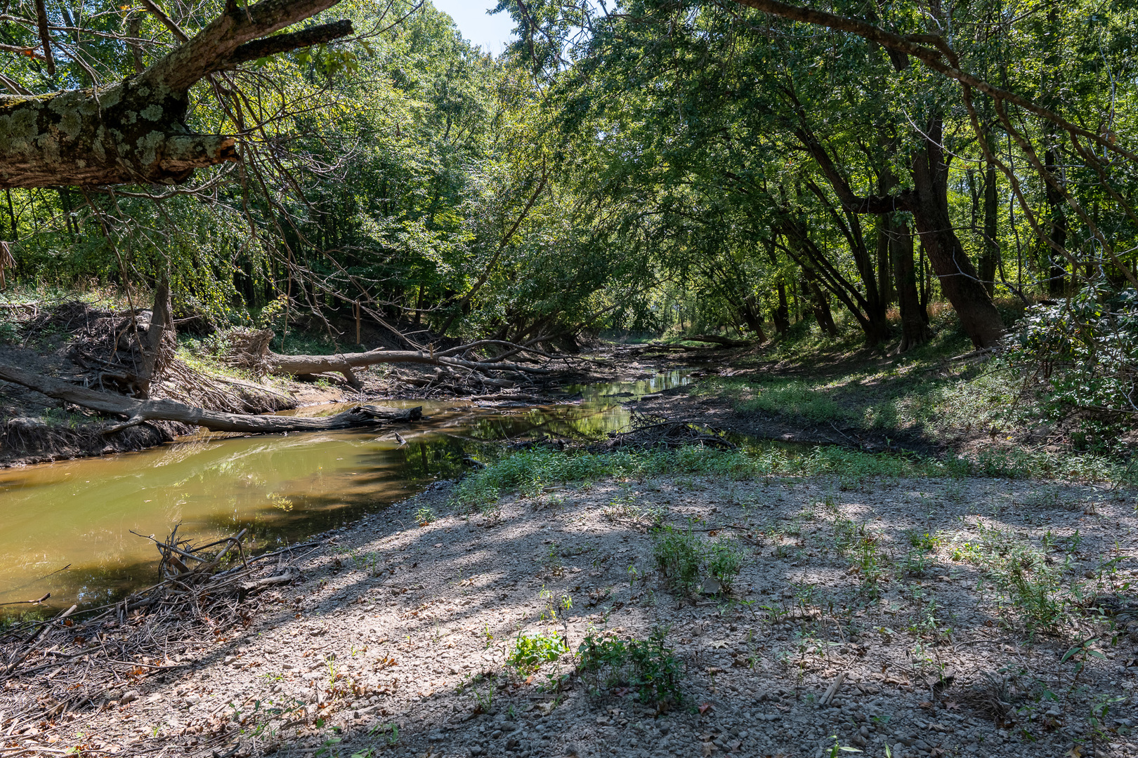 0000 Mayflower Rd Clay City, IL 62824