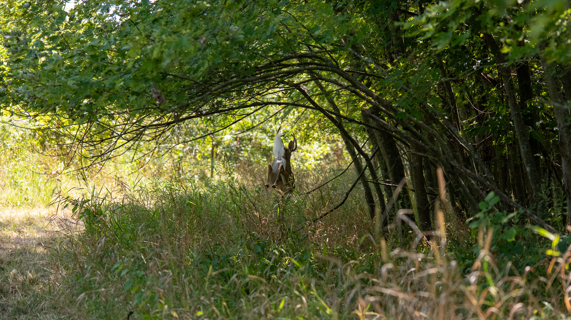 0000 Mayflower Rd Clay City, IL 62824