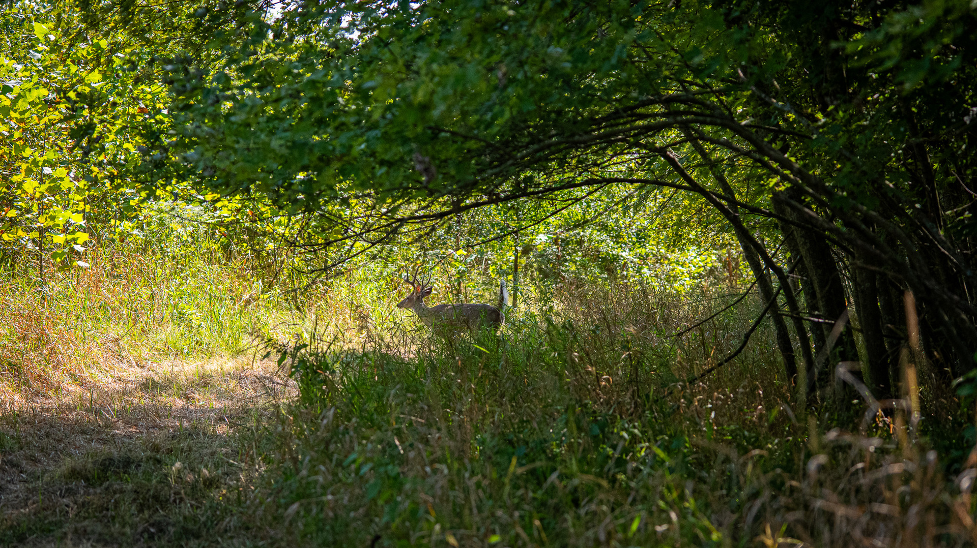 0000 Mayflower Rd Clay City, IL 62824