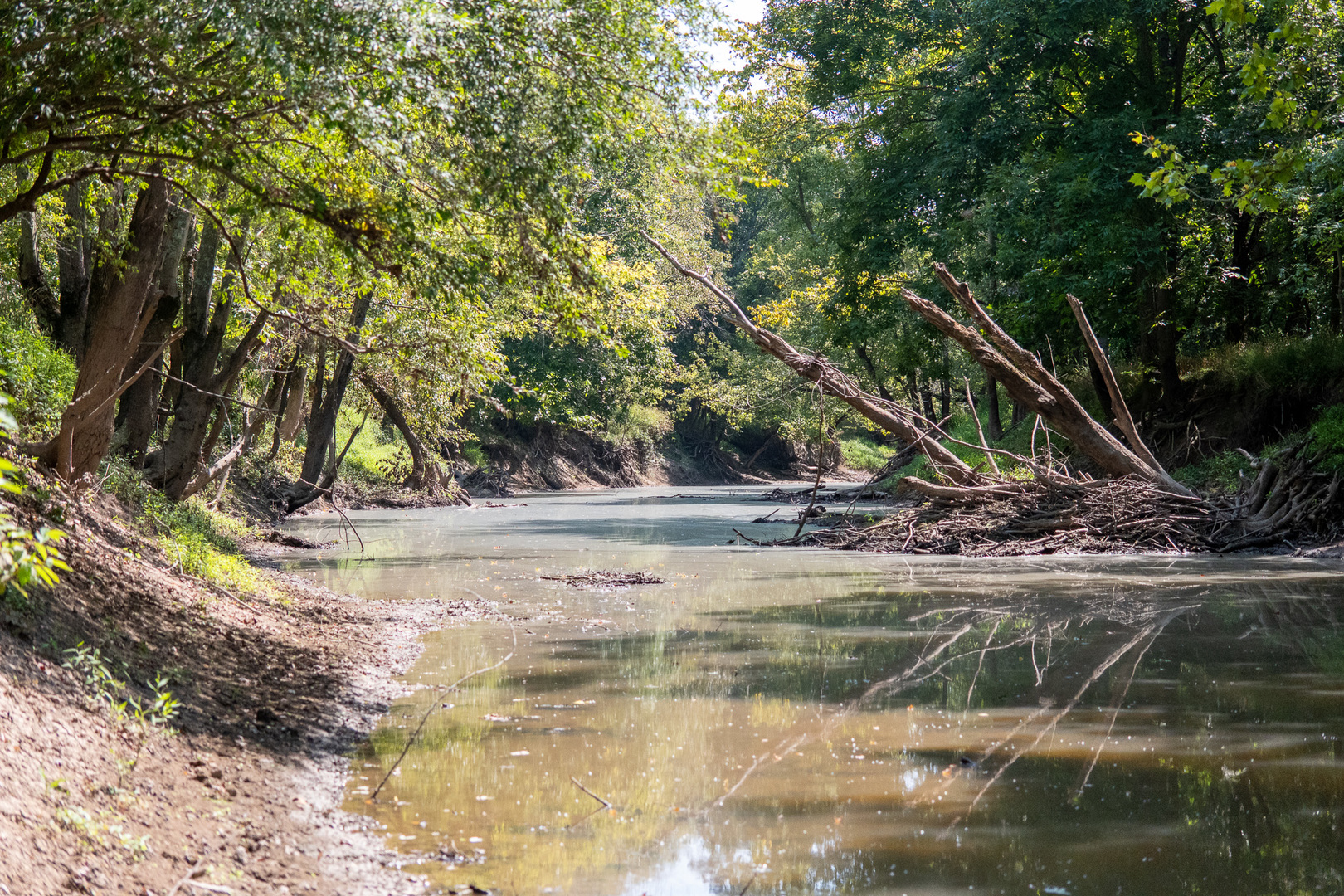 0000 Mayflower Rd Clay City, IL 62824