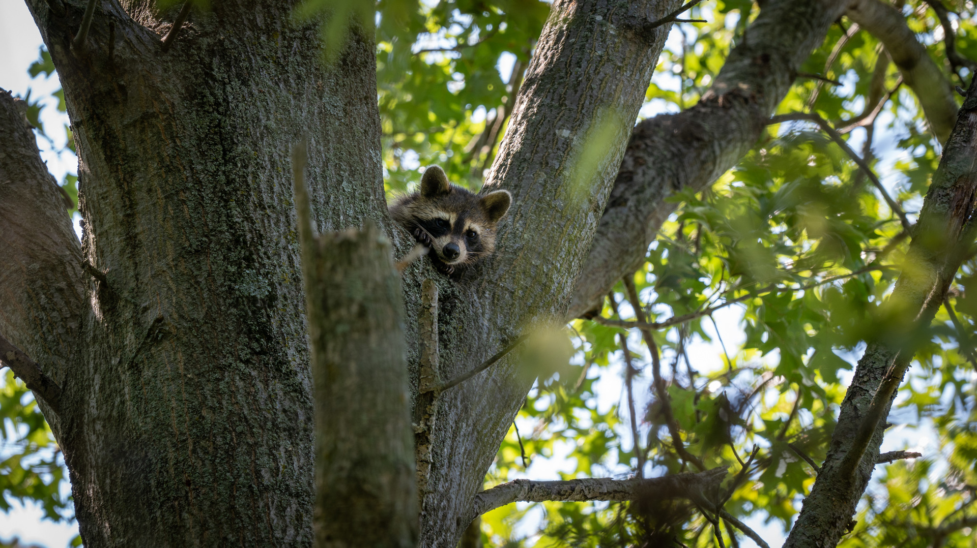 0000 Mayflower Rd Clay City, IL 62824