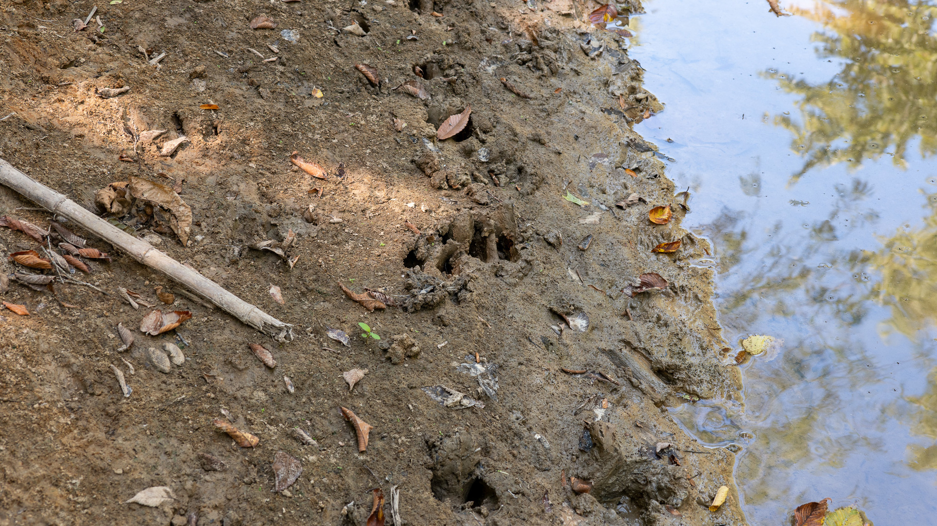 0000 Mayflower Rd Clay City, IL 62824