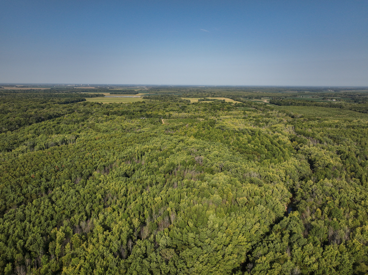 0000 Mayflower Rd Clay City, IL 62824