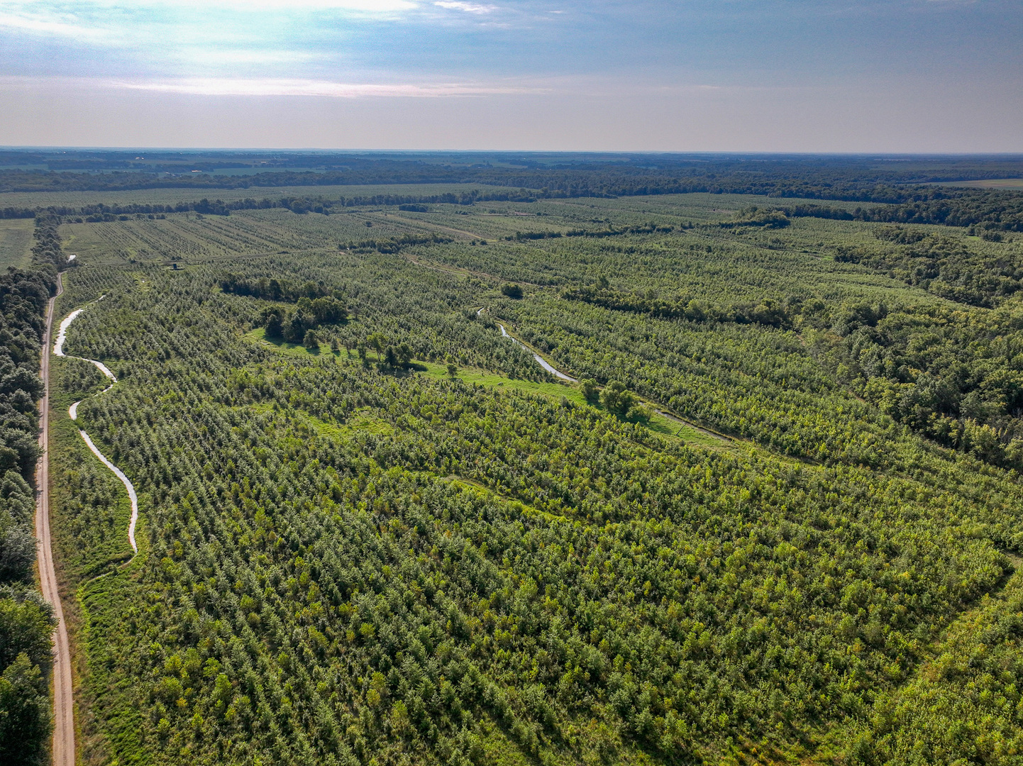 0000 Mayflower Rd Clay City, IL 62824