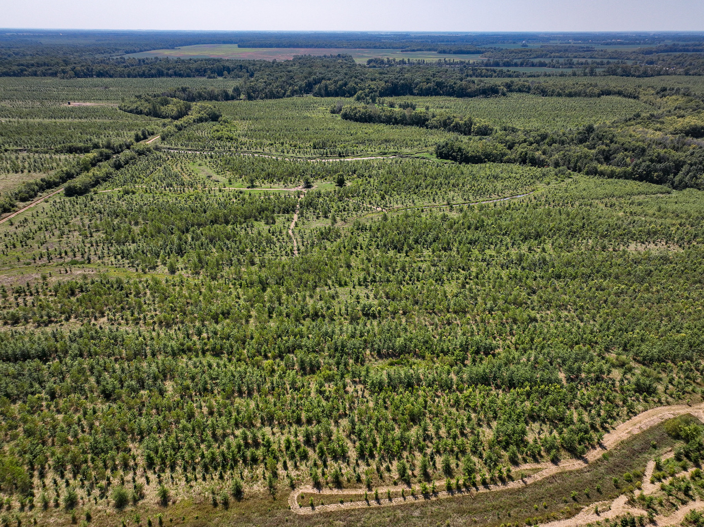 0000 Mayflower Rd Clay City, IL 62824