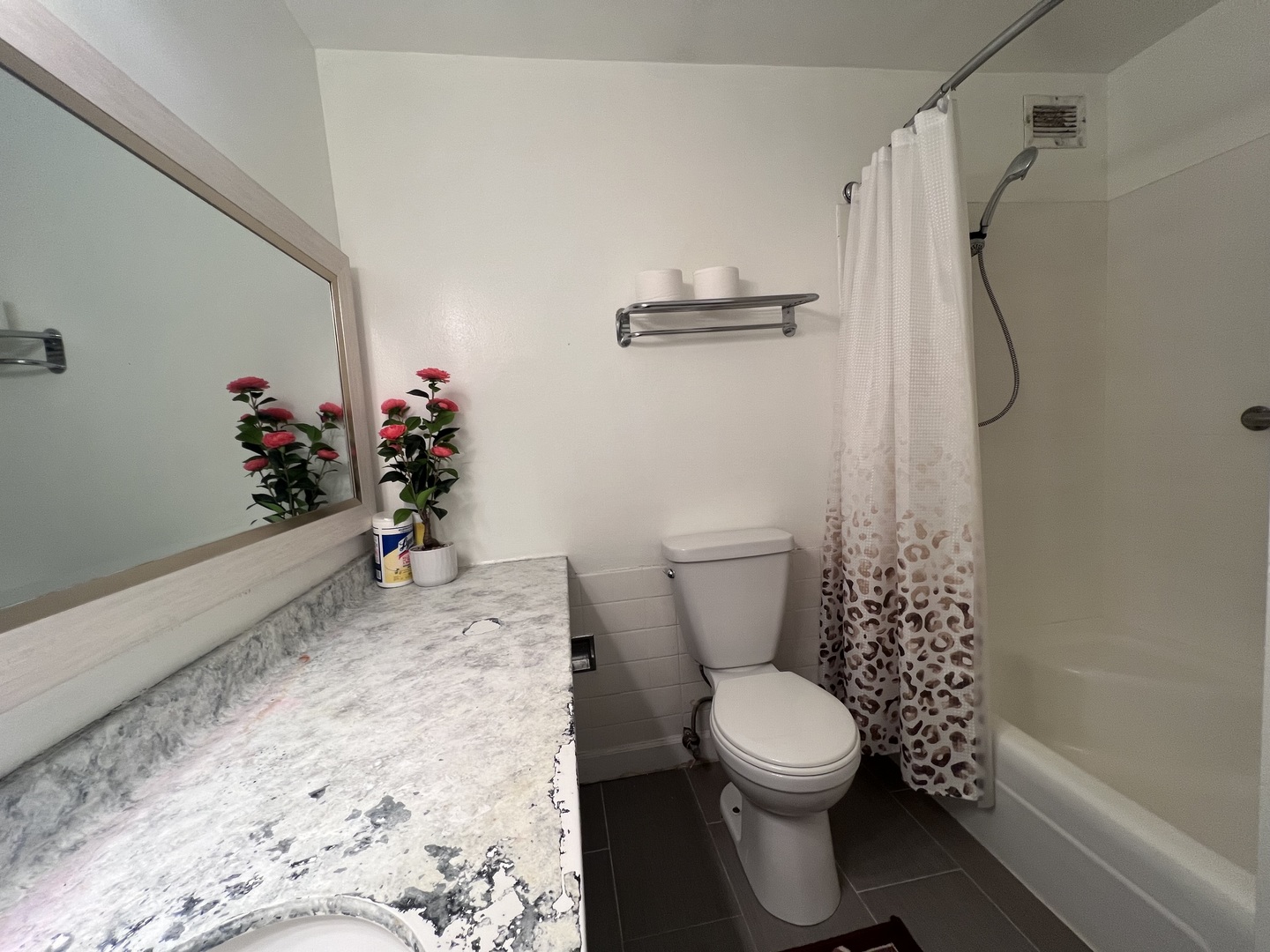 8809 Golf Rd #7H Niles, IL 60714