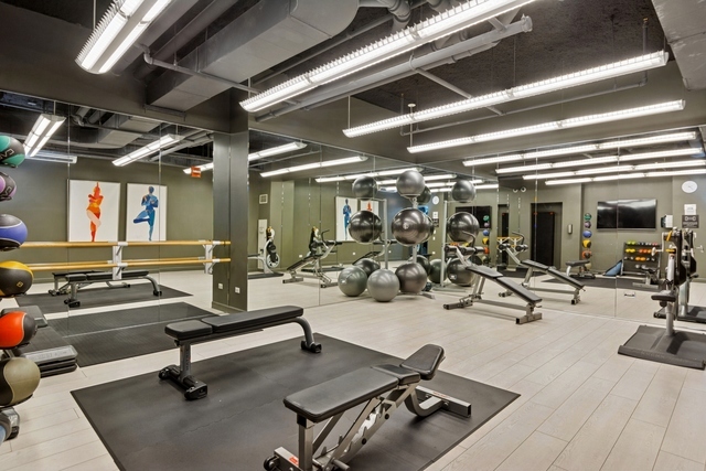 450 E Waterside Dr #501 Chicago, IL 60601