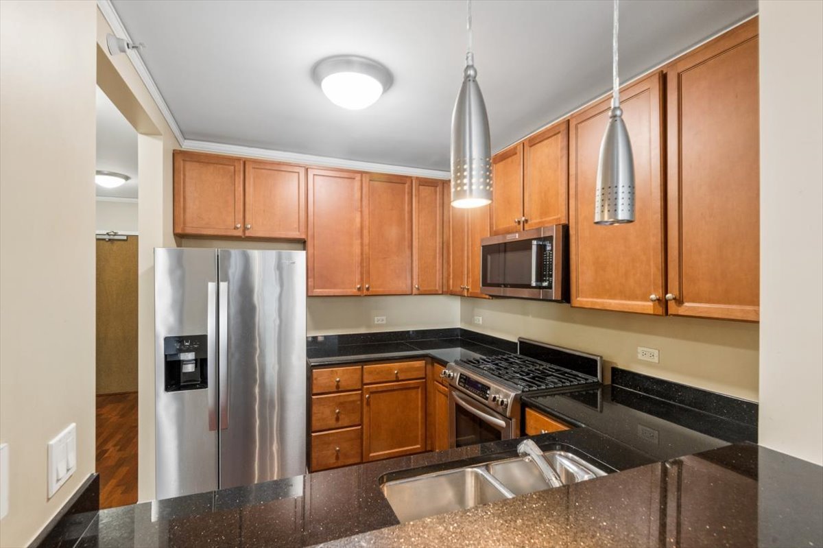 450 E Waterside Dr #501 Chicago, IL 60601