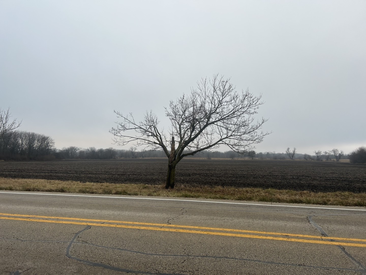 70 acres Galligan Rd Gilberts, IL 60136