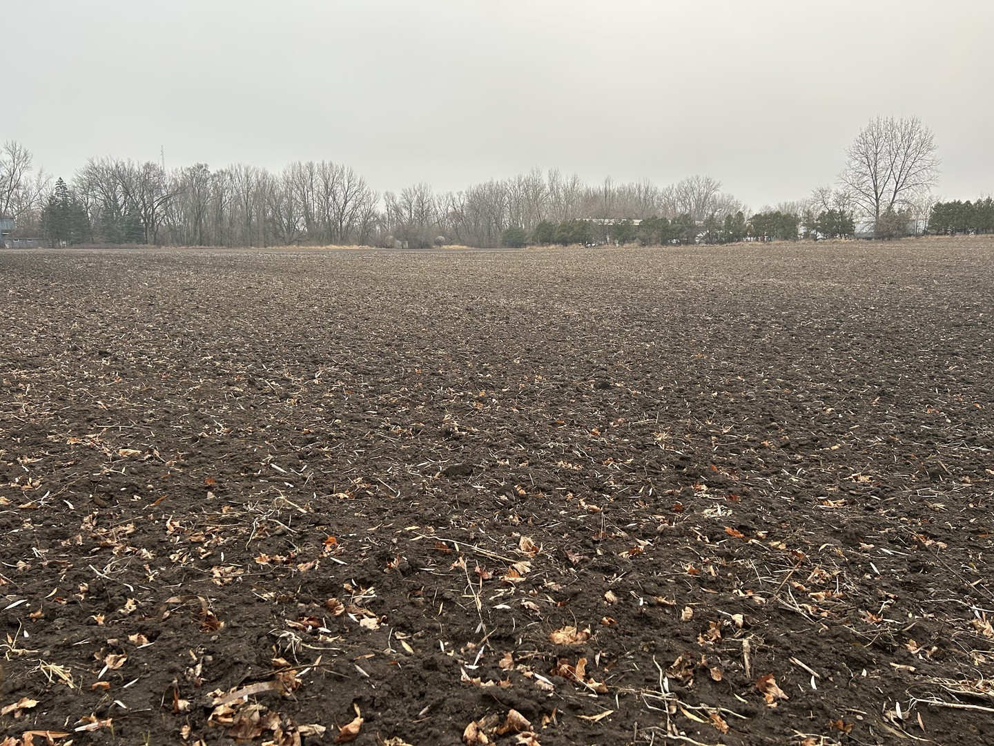 70 acres Galligan Rd Gilberts, IL 60136