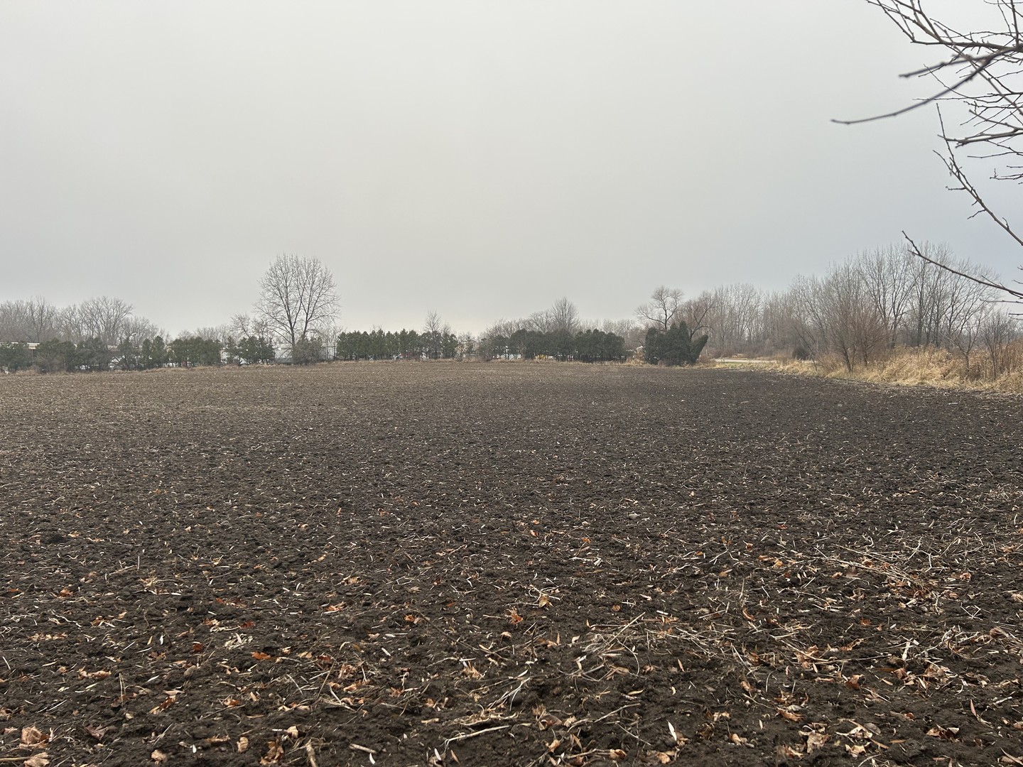 70 acres Galligan Rd Gilberts, IL 60136