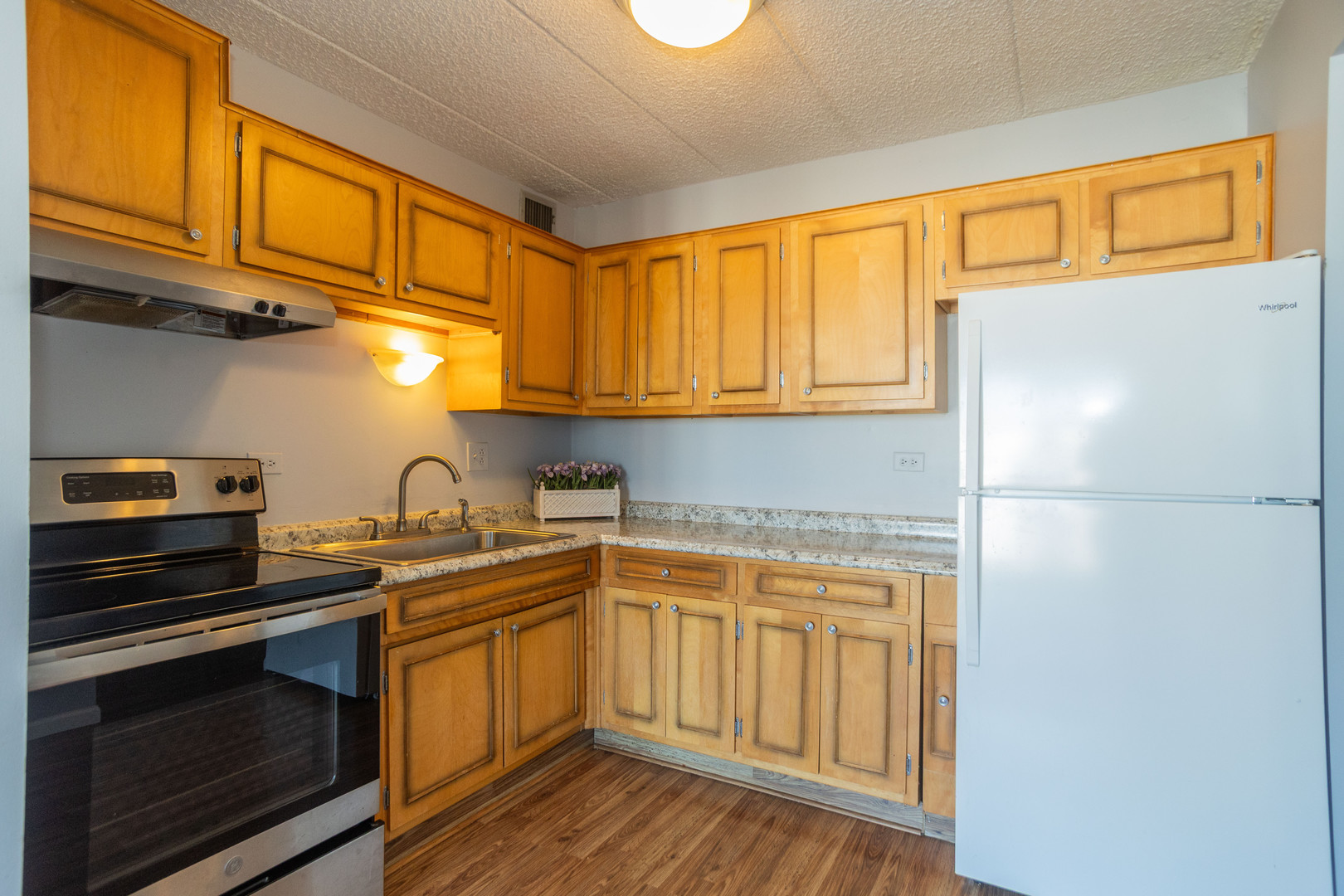 9128 W Ter Dr #6L Niles, IL 60714