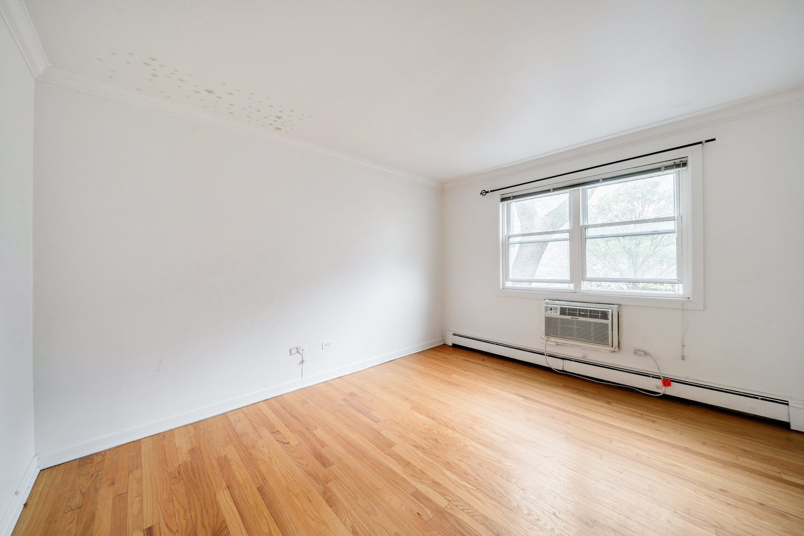 426 S Lombard Ave #205 Oak Park, IL 60302