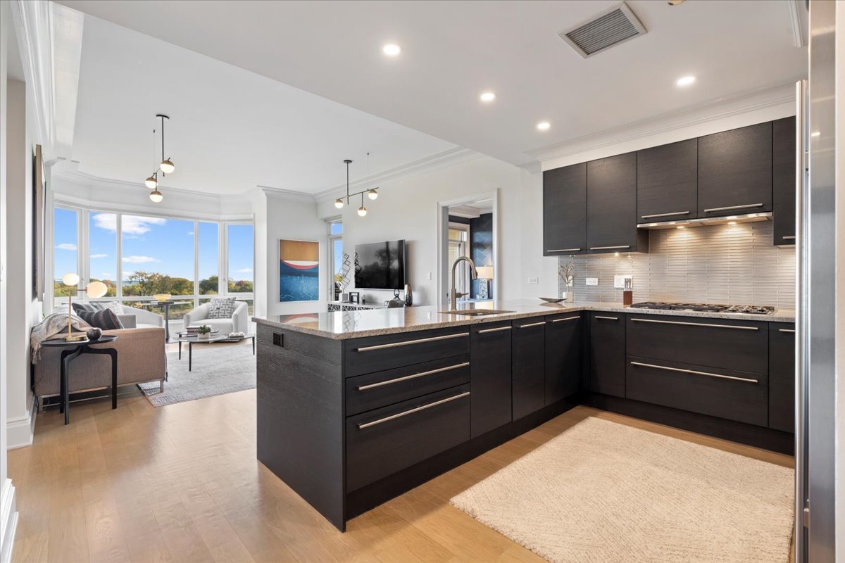 2550 N Lakeview Ave #S605 Chicago, IL 60614